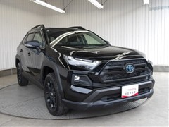 RAV4 HVアドベ オフロード2