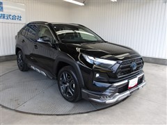 RAV4 HV アドベンチャー
