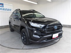 RAV4 HVアドベ オフロード2