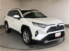 RAV4 ハイブリッドG