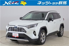 トヨタ RAV4 ハイブリッドG