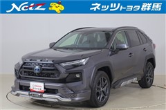 RAV4 HV アドベンチャー