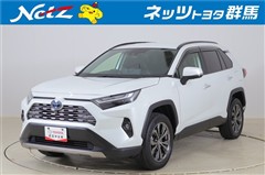 RAV4 ハイブリッドG