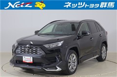 RAV4 G Zパッケージ