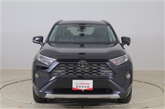 RAV4 G