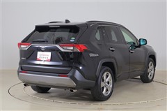 RAV4 G