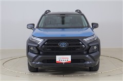 RAV4 HVアドベ オフロード2