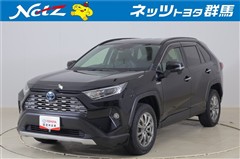 トヨタ RAV4 ハイブリッドG