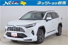 RAV4 ハイブリッドG