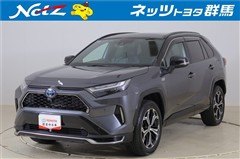 トヨタ RAV4 PHV ブラックトーン