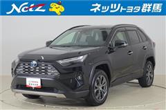 トヨタ RAV4 ハイブリッドG