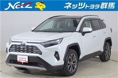 RAV4 ハイブリッドG