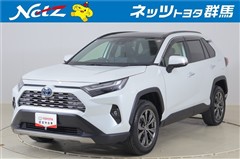 RAV4 ハイブリッドG