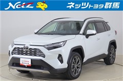 RAV4 ハイブリッドG
