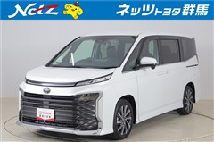 ヴォクシー S-Z