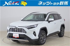 RAV4 ハイブリッドG