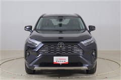RAV4 ハイブリッドG