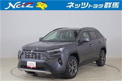 RAV4 ハイブリッドG
