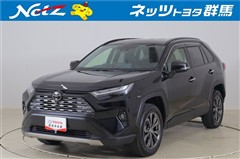 RAV4 ハイブリッドG