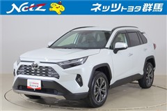 RAV4 ハイブリッドG