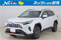 RAV4 ハイブリッドG