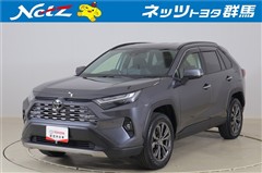 RAV4 ハイブリッドG