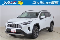 トヨタ RAV4 ハイブリッドG