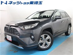 RAV4 G