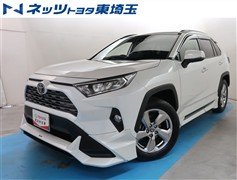 RAV4 G