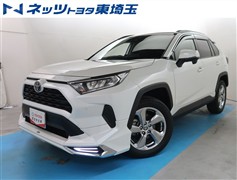 RAV4 X