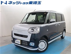 ムーヴキャンバス ストライプス G