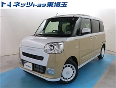 ムーヴキャンバス ストライプス G