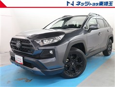 RAV4 アドベンチャー オフロート
