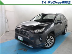 RAV4 G Zパッケージ