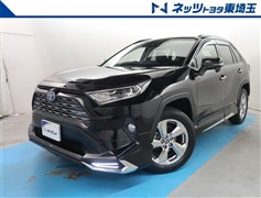 RAV4 ハイブリッドG