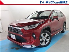 RAV4 ハイブリッドG