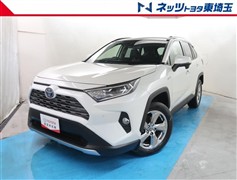 RAV4 ハイブリッドG