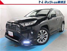 RAV4 G Zパッケージ