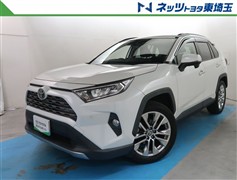 RAV4 G Zパッケージ