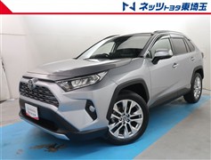 RAV4 G Zパッケージ