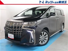 アルファード Sタイプゴ-ルド2