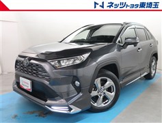 RAV4 G