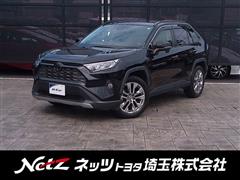 RAV4 G Zパッケージ