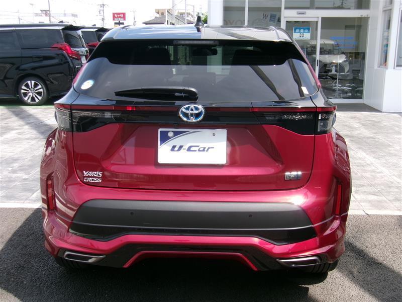 matsutant@よろず屋 ZUTOMAYO MART