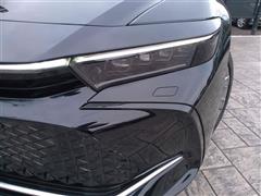 クラウン CO Gアドバ レザー