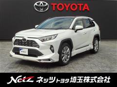 RAV4 G Zパッケージ