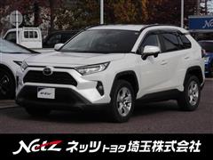 RAV4 X