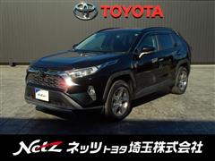 RAV4 G