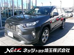RAV4 G