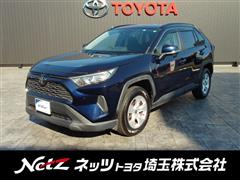 RAV4 X